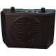 AMPLIFICATORE per Celebrazioni